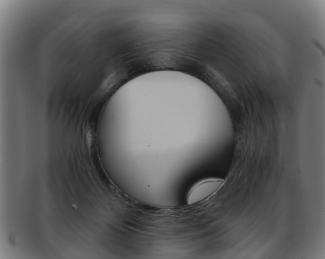 X0000092000124200709061248