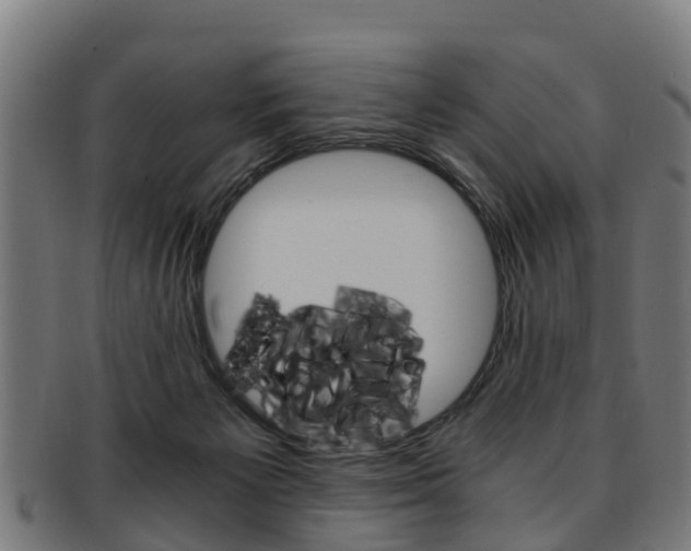 X0000092000125200709061248
