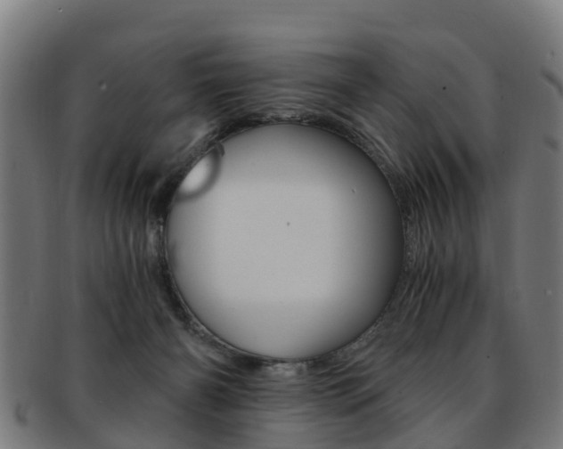 X0000092000126200709061248