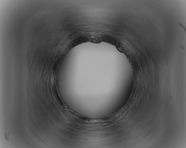 X0000092000129200709061248