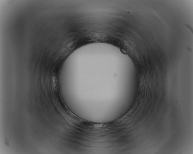 X0000092000130200709061248