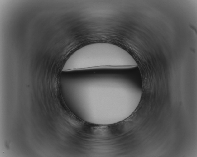 X0000092000132200709061248
