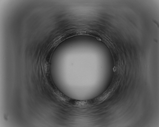 X0000092000139200709061247