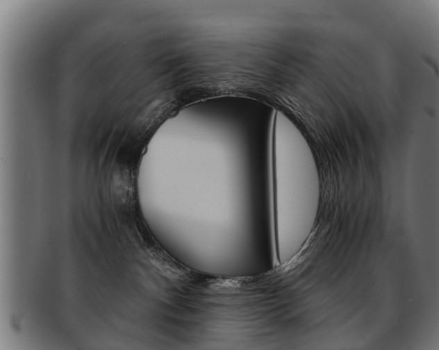 X0000092000140200709061247