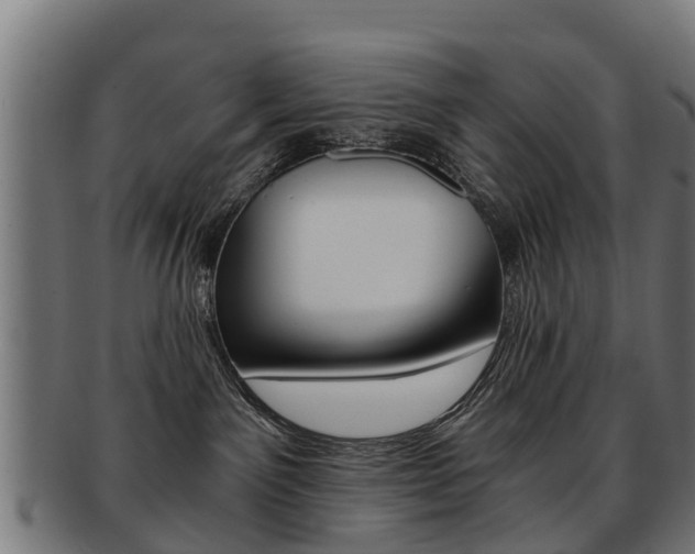 X0000092000141200709061247