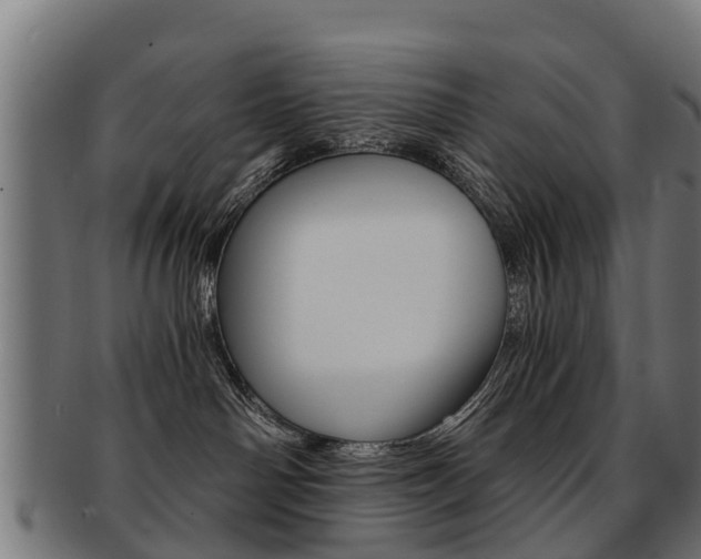 X0000092000142200709061247