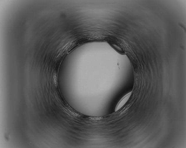 X0000092000143200709061247