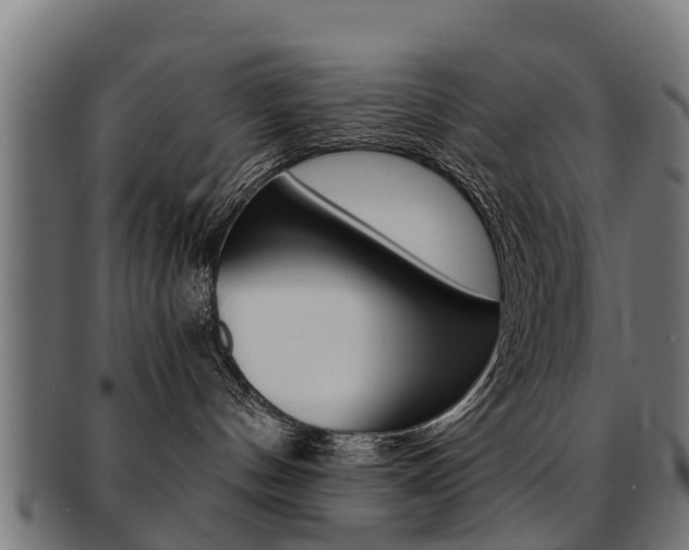 X0000092000144200709061247