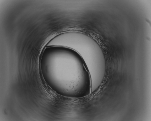 X0000092000148200709061247