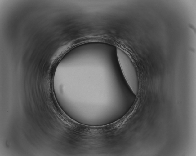 X0000092000149200709061247