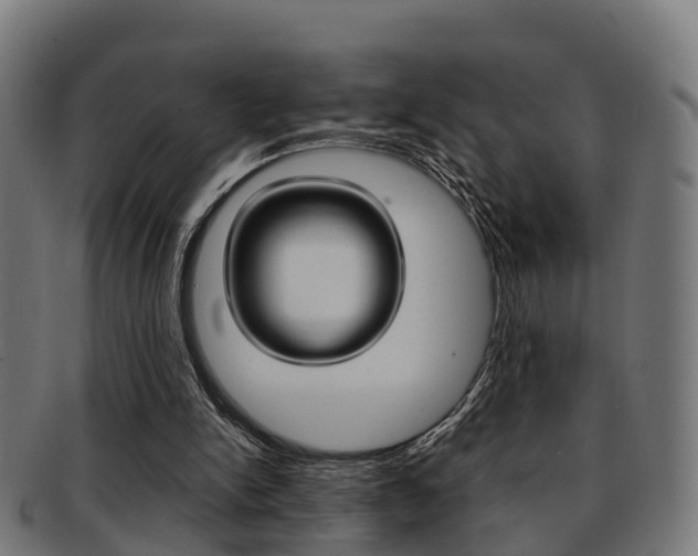 X0000092000150200709061247
