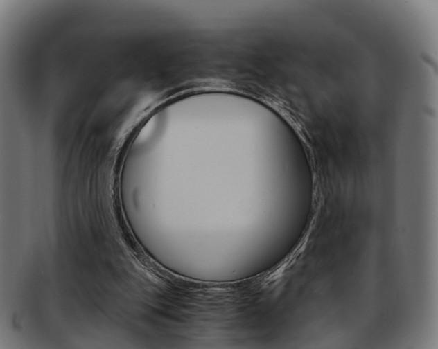 X0000092000151200709061247