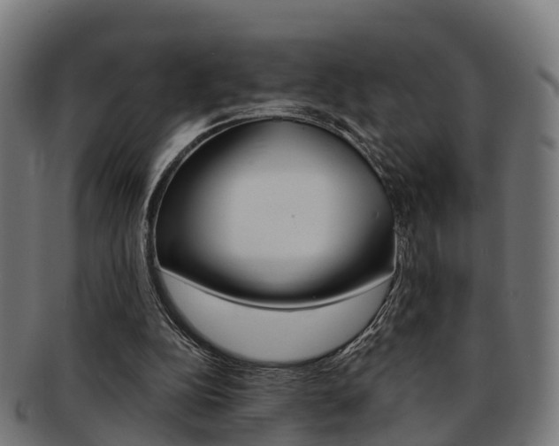 X0000092000152200709061247