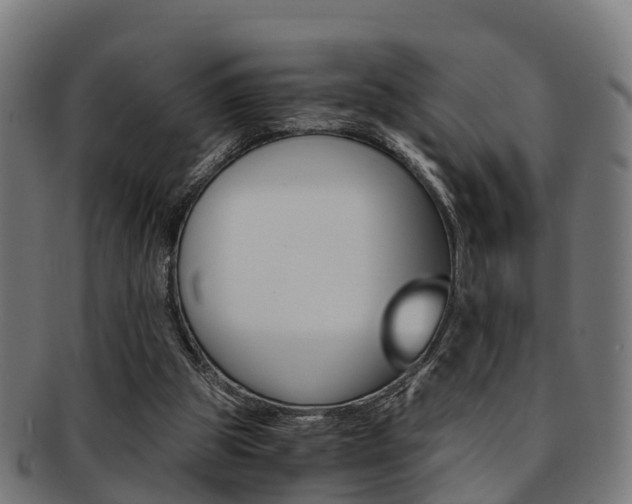 X0000092000153200709061247