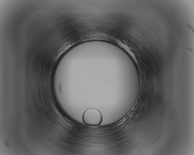 X0000092000154200709061247