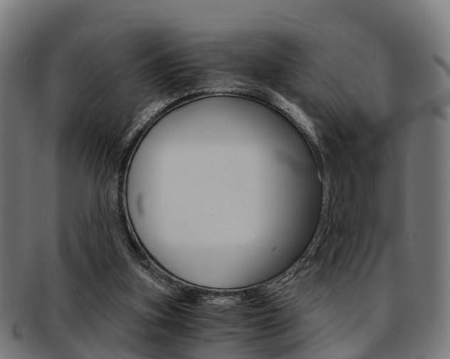 X0000092000155200709061247