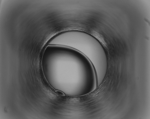 X0000092000156200709061247