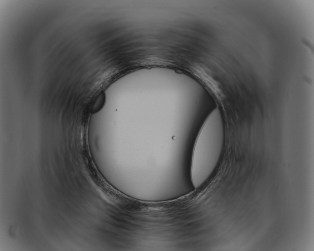 X0000092000157200709061247