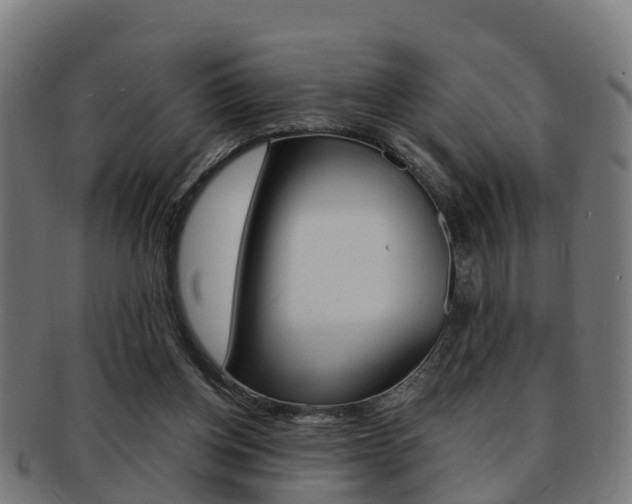 X0000092000158200709061247
