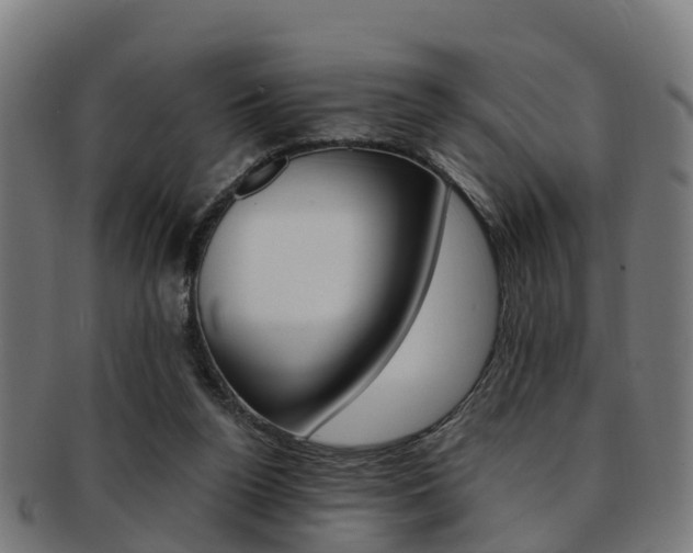 X0000092000160200709061247