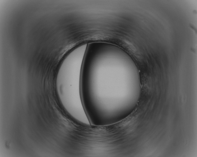 X0000092000164200709061247