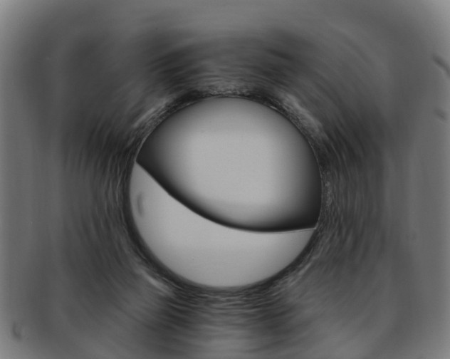 X0000092000165200709061247