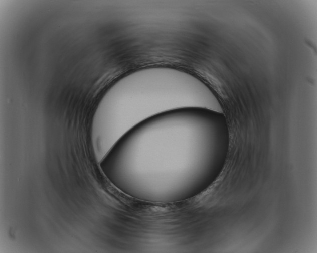 X0000092000166200709061247