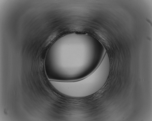 X0000092000168200709061247