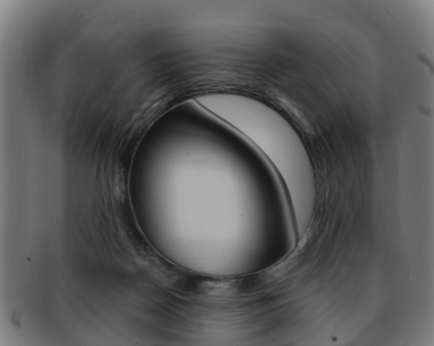 X0000092000170200709061247