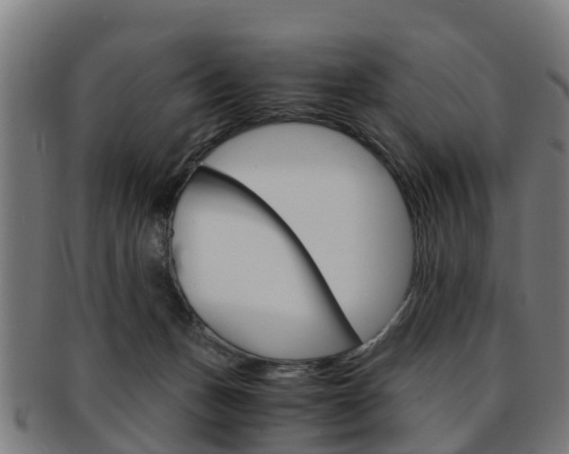 X0000092000175200709061247