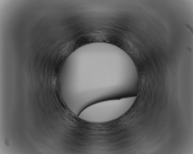 X0000092000177200709061247