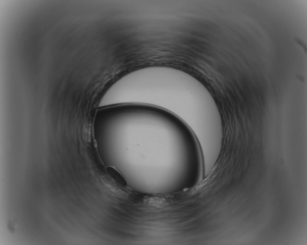 X0000092000180200709061247