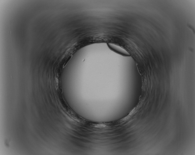 X0000092000183200709061247
