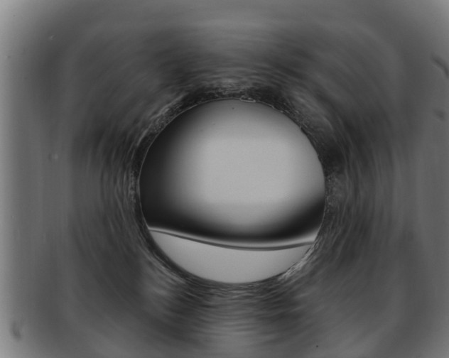 X0000092000184200709061247