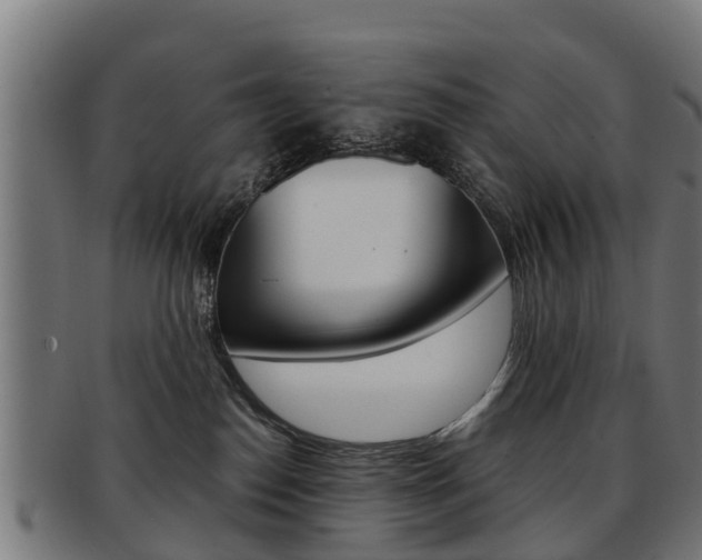 X0000092000186200709061247