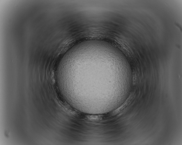 X0000092000187200709061247