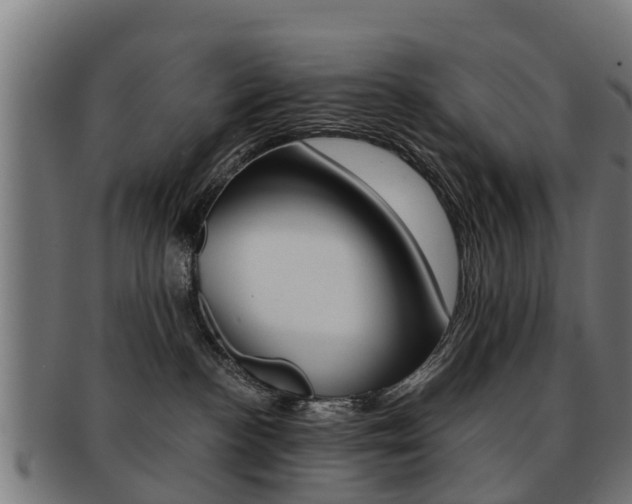 X0000092000188200709061247