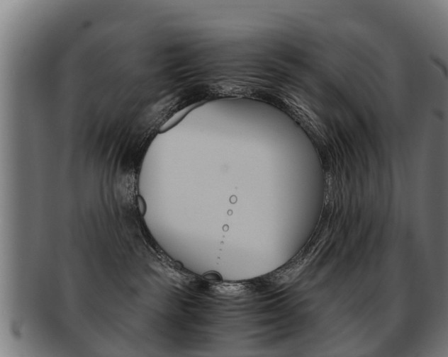 X0000092000189200709061247