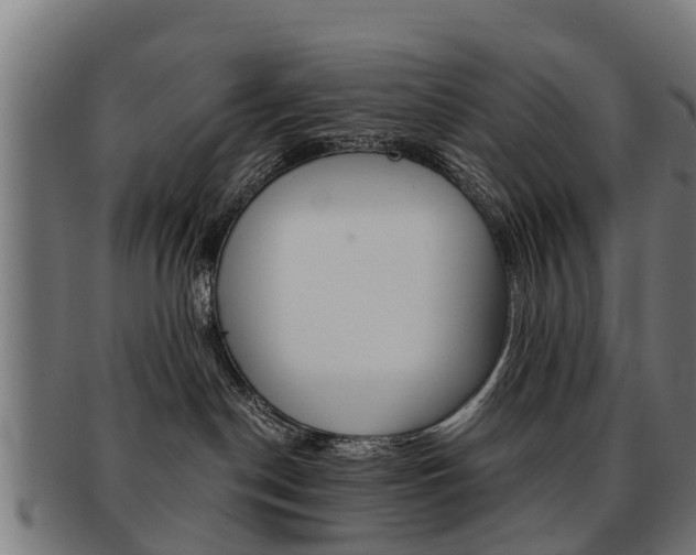 X0000092000190200709061247