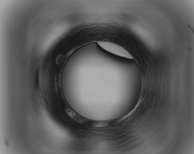 X0000092000191200709061247