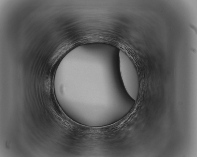 X0000092000194200709061247