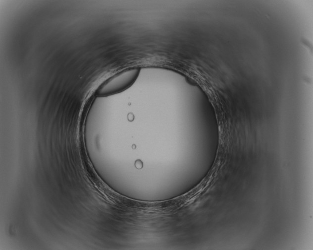 X0000092000196200709061247