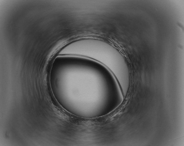 X0000092000197200709061247