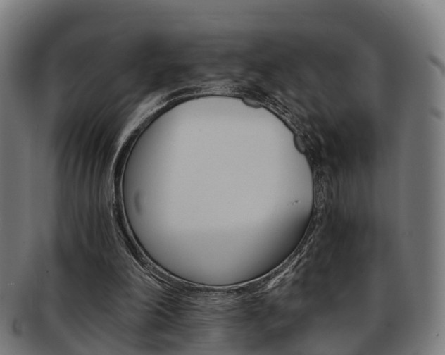 X0000092000198200709061247