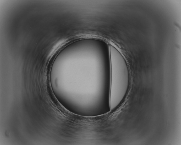 X0000092000199200709061247