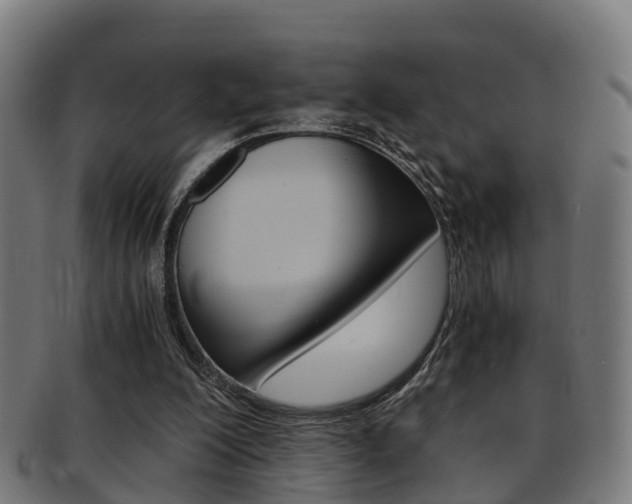 X0000092000200200709061247
