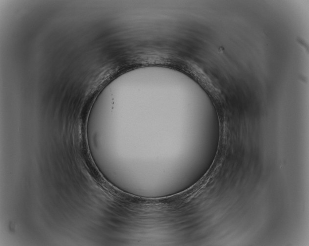 X0000092000202200709061247