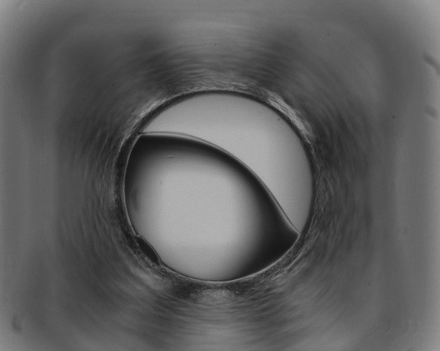 X0000092000203200709061247