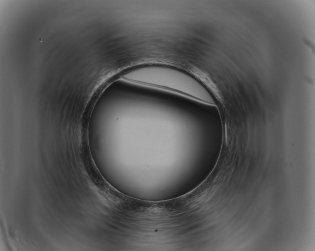 X0000092000204200709061247