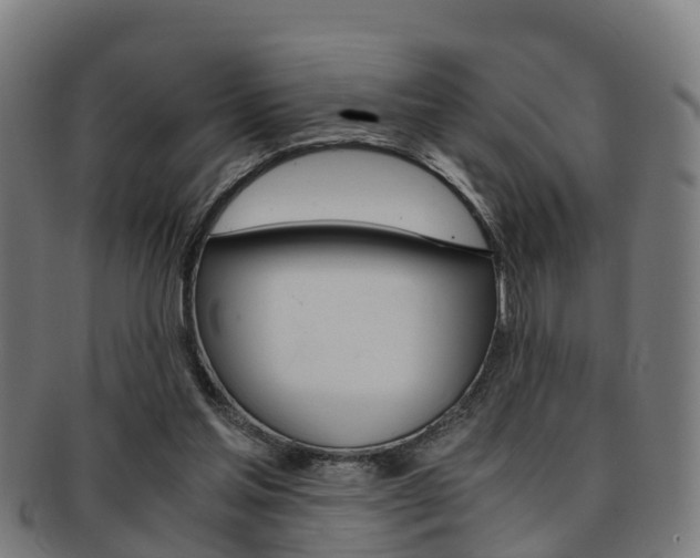 X0000092000205200709061247